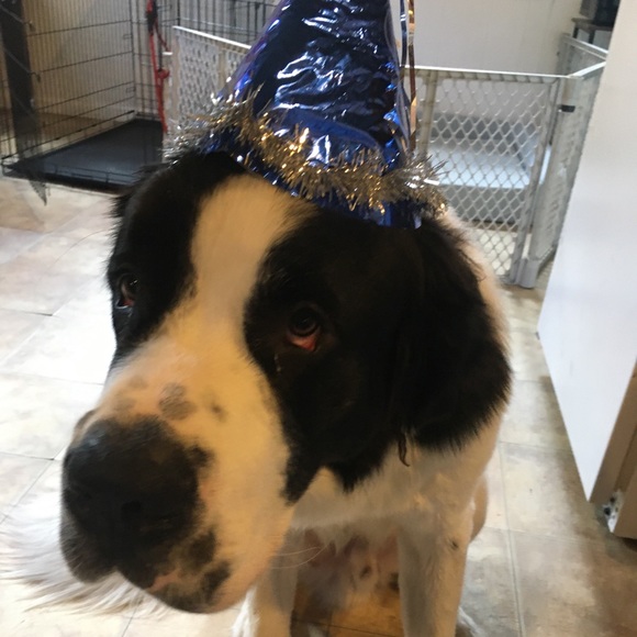 Meet your Posher, Ted - Picture 1 of 1